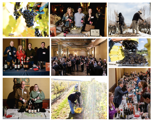 image of Help Pass NY Wine Budget and Cabernet Franc Recognition